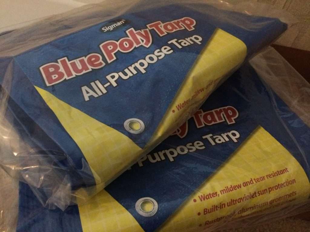 Tarp