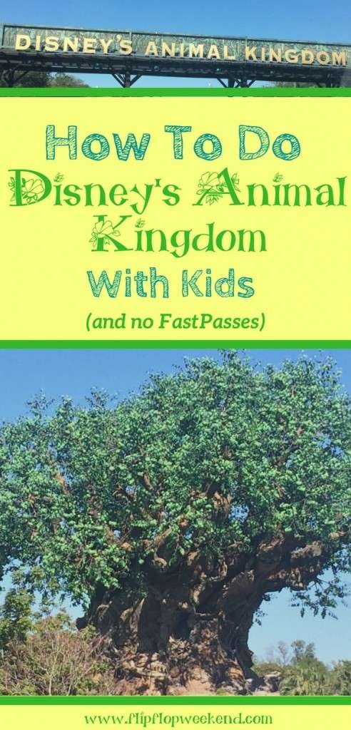 If you find yourself at Walt Disney World's Animal Kingdom with kids and without FastPasses, there are still plenty of attractions to try! Check out these tips and ideas on how to still have a wild day! #WDW #DisneyParks