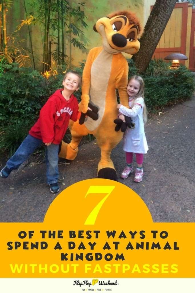 If you are planning a day a Disney's Animal Kingdom, with kids, this post will guide you through some of best rides, attractions and activities for kids...none of which require a fastpass. #wdw #disneytips