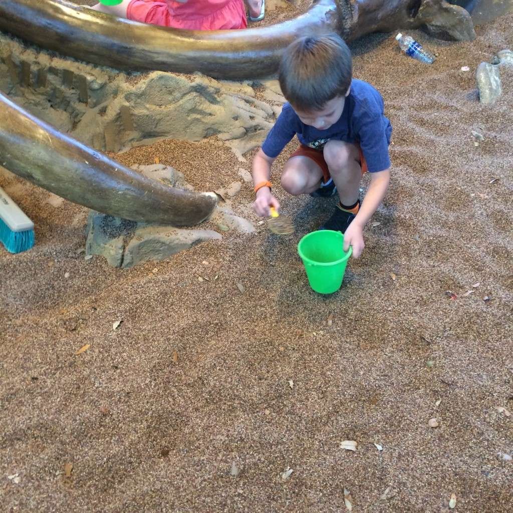 If you are planning a day a Disney's Animal Kingdom, with kids, this post will guide you through some of best rides, attractions and activities for kids...none of which require a fastpass.