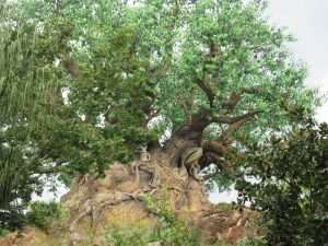 Tree of Life at Walt Disney World's Animal Kingdom