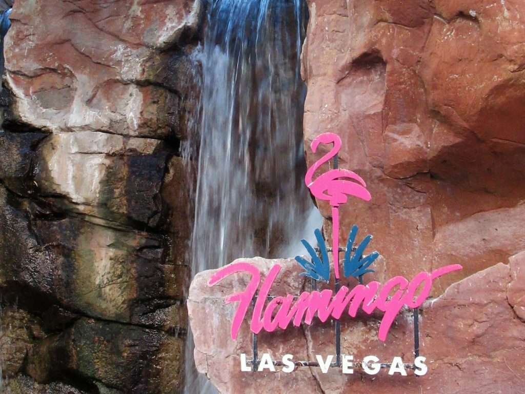 The Flamingo Las Vegas Wildlife Habitat is one of the many free things to do in Las Vegas that are not gambling.
