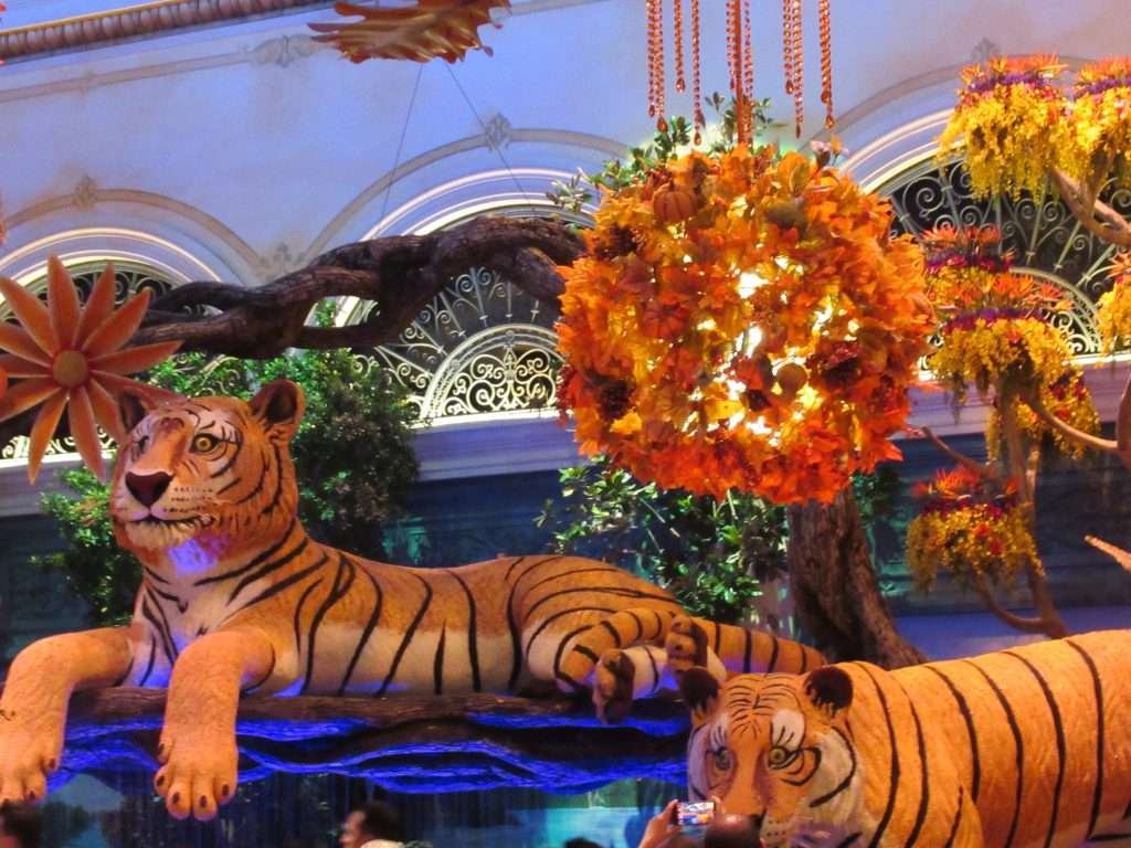 Take time to walk through the Botanical Garden and Conservatory at the Bellagio. The display changes seasonally and makes for a beautiful stroll before or after dinner.