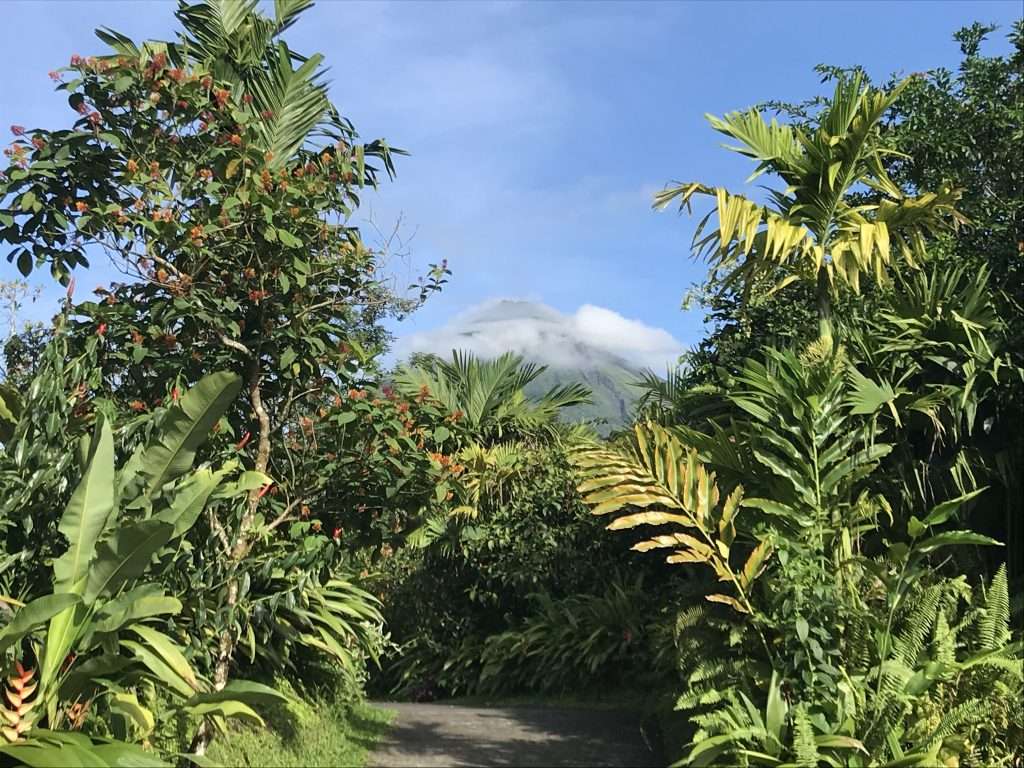 If you have just a few days to get away, a Costa Rica vacation is still possible. We did five days for less than $1,000. We loved the country so much and will definitely return. To encourage you to add it to your list, I will outline our Costa Rica travel itinerary with tips and guides that you can follow...or adjust for your own travel preferences. Plus, I will even show you how we did it so cheap!